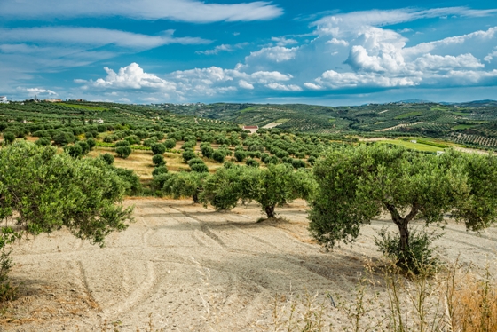 nature_crete_560