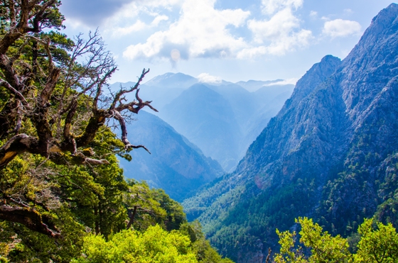 samaria_gorge_560
