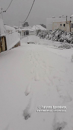 15935317_10209626753084338_1952919243_o