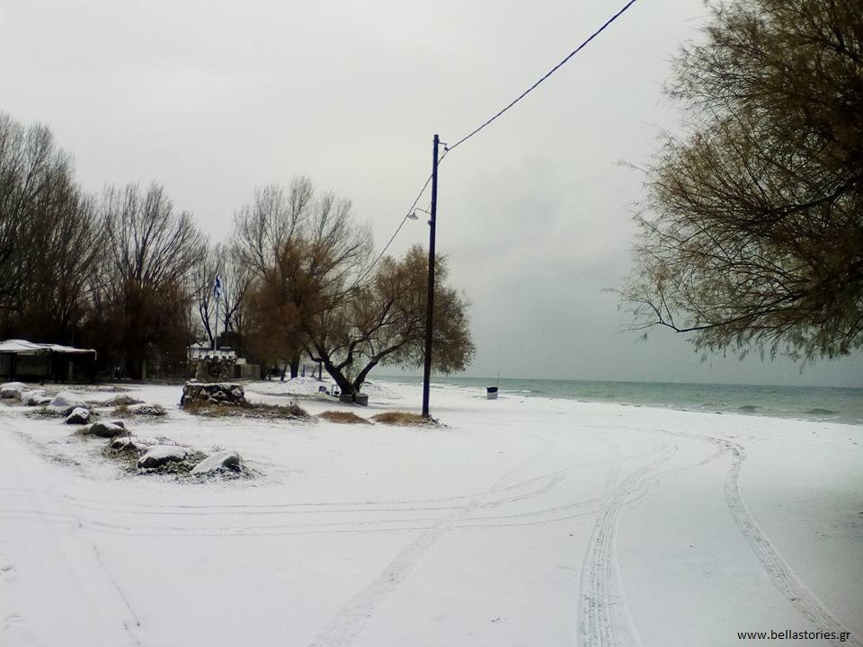 15940905_392932944381367_8033357261439296791_n